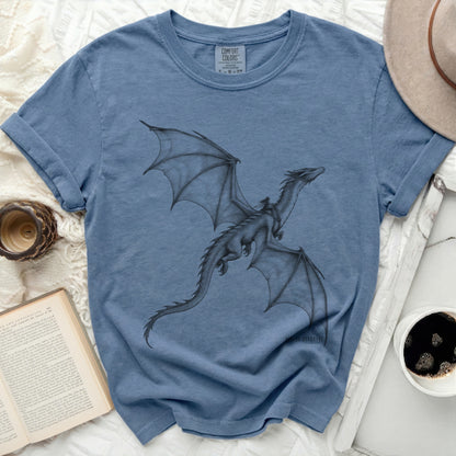 Blue t-shirt with a sketch of a dragon and rider, size 6-27 tag visible.