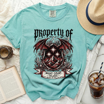 Teal t-shirt with "Property of Night Court Velaris" graphic and dragon crest.