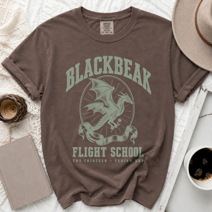Brown crewneck t-shirt with a vintage green graphic featuring a dragon and Blackbear Flight School text.