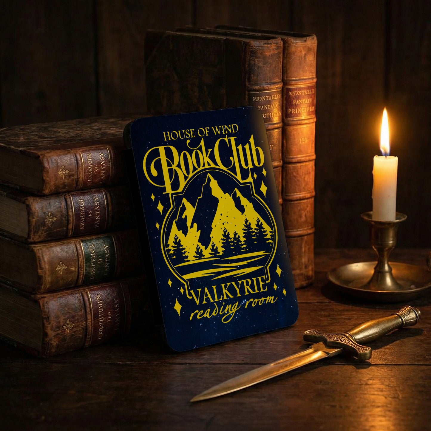HOUSE OF WIND Book Club VALKYRIE reading room product type