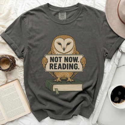 Gray t-shirt with an owl holding a "Not Now. Reading." sign, sitting on a book.