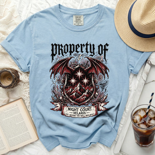 Light blue t-shirt with "Property of Night Court Velaris" crest and dragon wings.