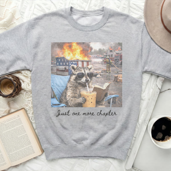 Just One More Chapter Raccoon Sweatshirt in Sport Grey