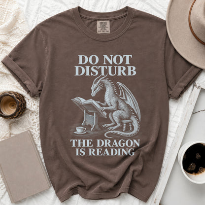 Brown t-shirt with a graphic of a dragon reading a book and text.
