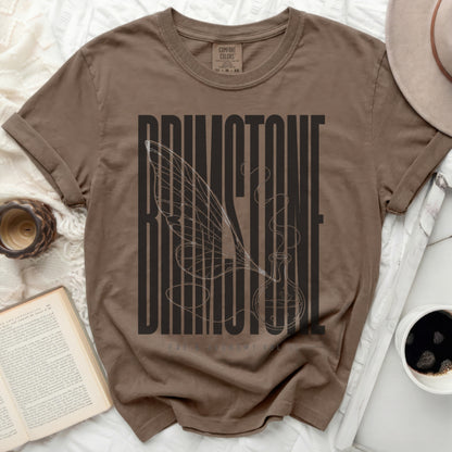 Brown t-shirt with "BRIMSTONE FAE ALCHEMY VOL 1" text and winged potion bottle graphic.
