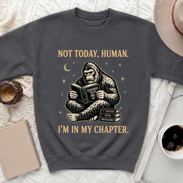 Not Today, Human Sweatshirt in Dark Heather