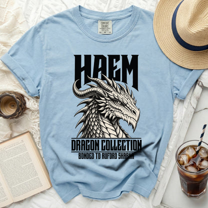Light blue t-shirt with black HAEM dragon graphic and text.