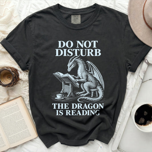 T-shirt with dragon reading a book, text "DO NOT DISTURB THE DRAGON IS READING".