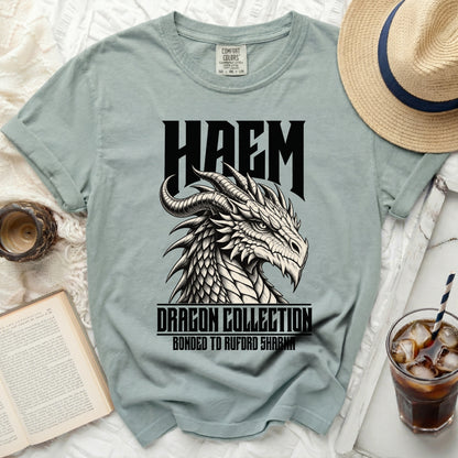 Light blue t-shirt with black HAEM dragon graphic and text.