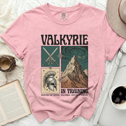 Pink t-shirt with "Valkyrie In Training" graphic and text.
