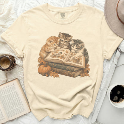 Three kittens look at an open book surrounded by autumn leaves and pumpkins.