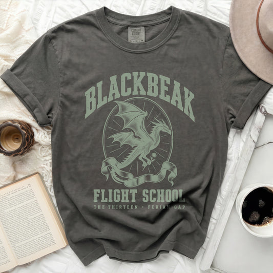 Charcoal gray t-shirt with a vintage-style green dragon graphic and text reading "Blackbeak Flight School."