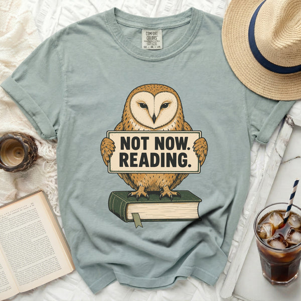Not Now Reading Tee in Bay