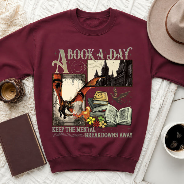 A Book A Day Sweatshirt in Maroon