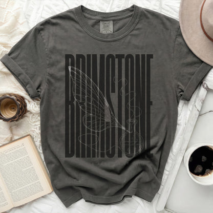 Dark gray t-shirt with "BRIMSTONE" text and a winged potion bottle graphic.