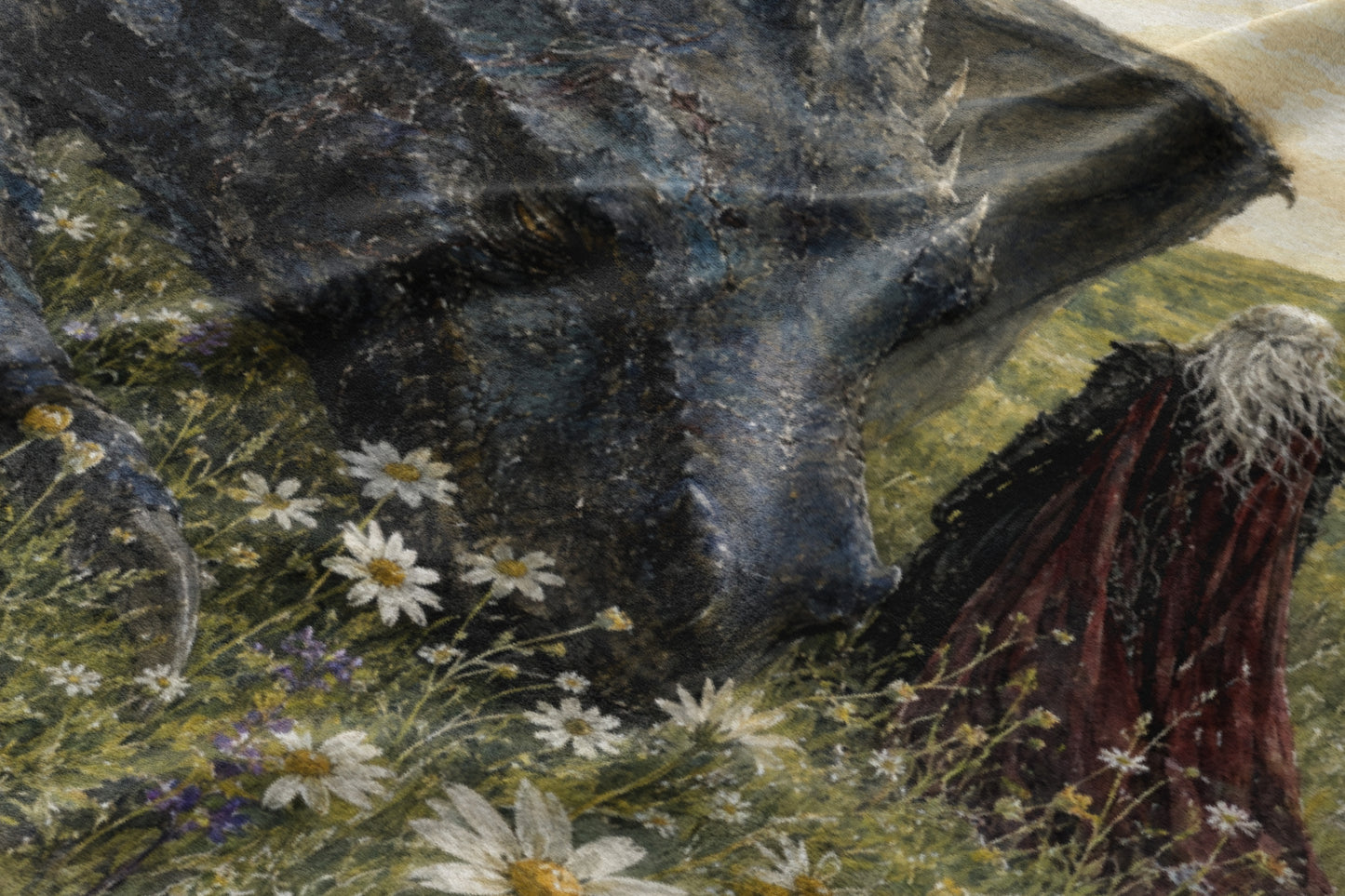 Dark-scaled dragon and robed figure with white hair in a field of flowers.