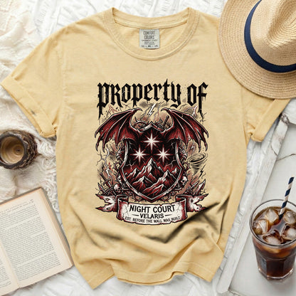 Yellow t-shirt with "Property of Night Court Velaris" graphic.
