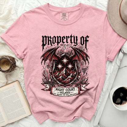Pink t-shirt with "Property of Night Court Velaris" dragon crest graphic.