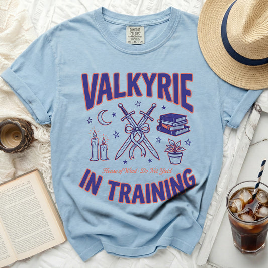 Light blue t-shirt with "VALKYRIE IN TRAINING" and shield design.