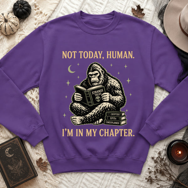 Not Today, Human Sweatshirt in Purple