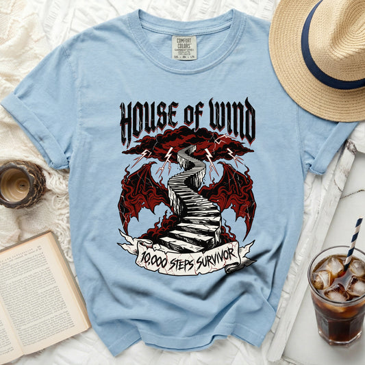 Light blue t-shirt with "House of Wind" and "10,000 Steps Survivor" graphics.