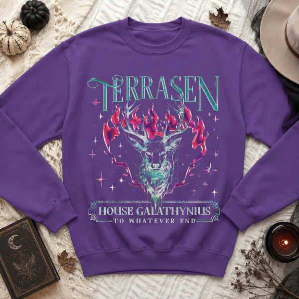 Terrasen Dreamers Sweatshirt in Purple